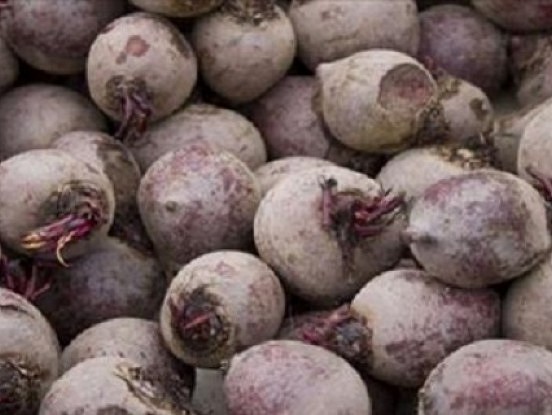 Man ir 60 un šis sakņaugs atdeva man redzi, attīrīja no taukiem manas aknas un pilnībā iztīrīja taisno zarnu!