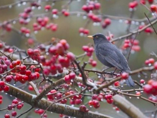 Par ko brīdina laika ziņas