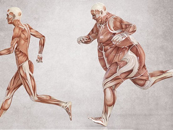 Hormons insulīns: Kas par to būtu jāzin?