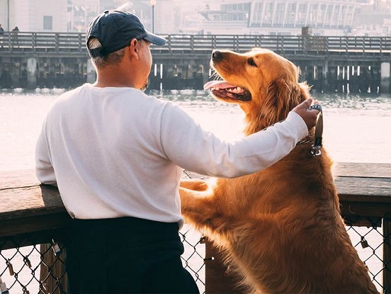 Zinātne ir secinājusi, ka sarunāšanās ar mājdzīvniekiem nozīmē to, ka jūs esat inteliģents, nevis traks