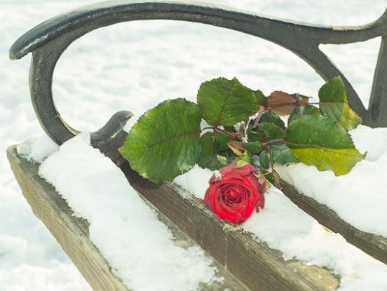 Visiem, kam pietrūkst kāds mīļš un tuvs cilvēks