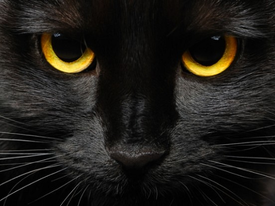 Piektdiena, 13.!  Ko nedrīkst darīt šajā dienā