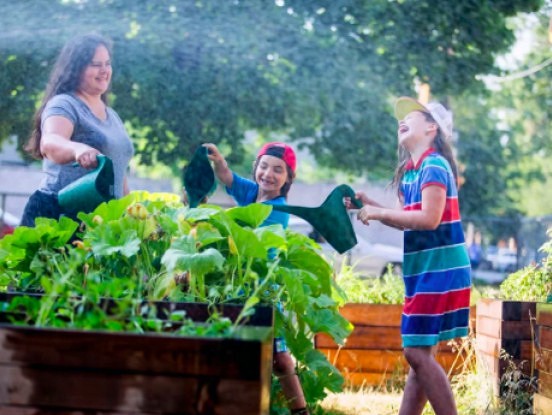 Kā pasargāt augus un stādus no karstuma